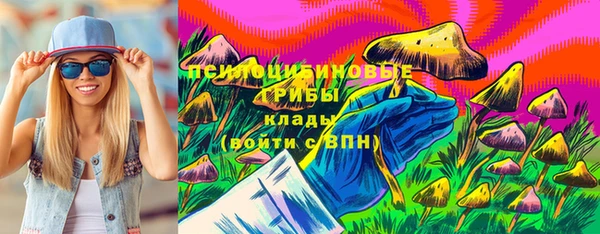 дживик Верея