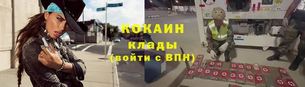 дживик Верея