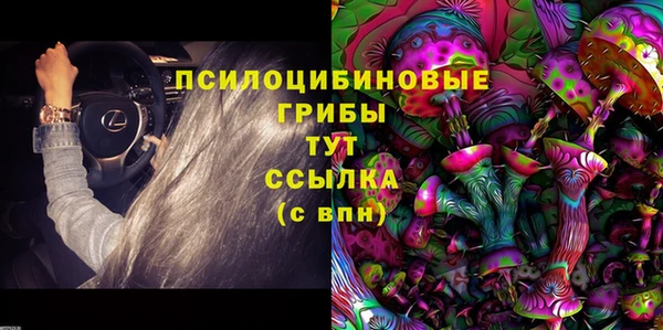 дживик Верея