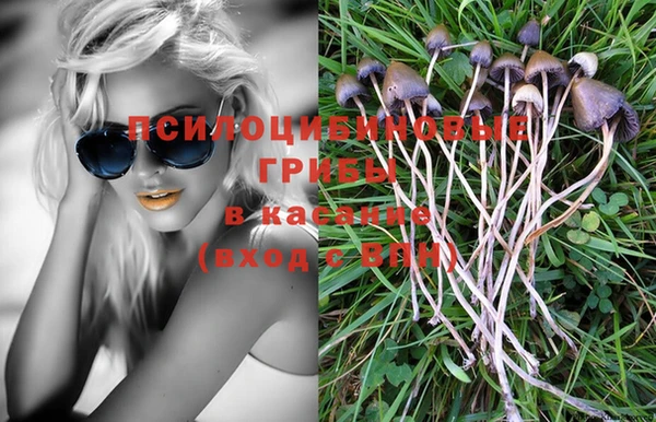 дживик Верея