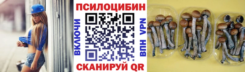 Галлюциногенные грибы GOLDEN TEACHER  даркнет сайт  Кирсанов 
